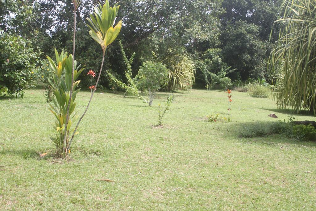 Hotel Framotel Kribi Dış mekan fotoğraf